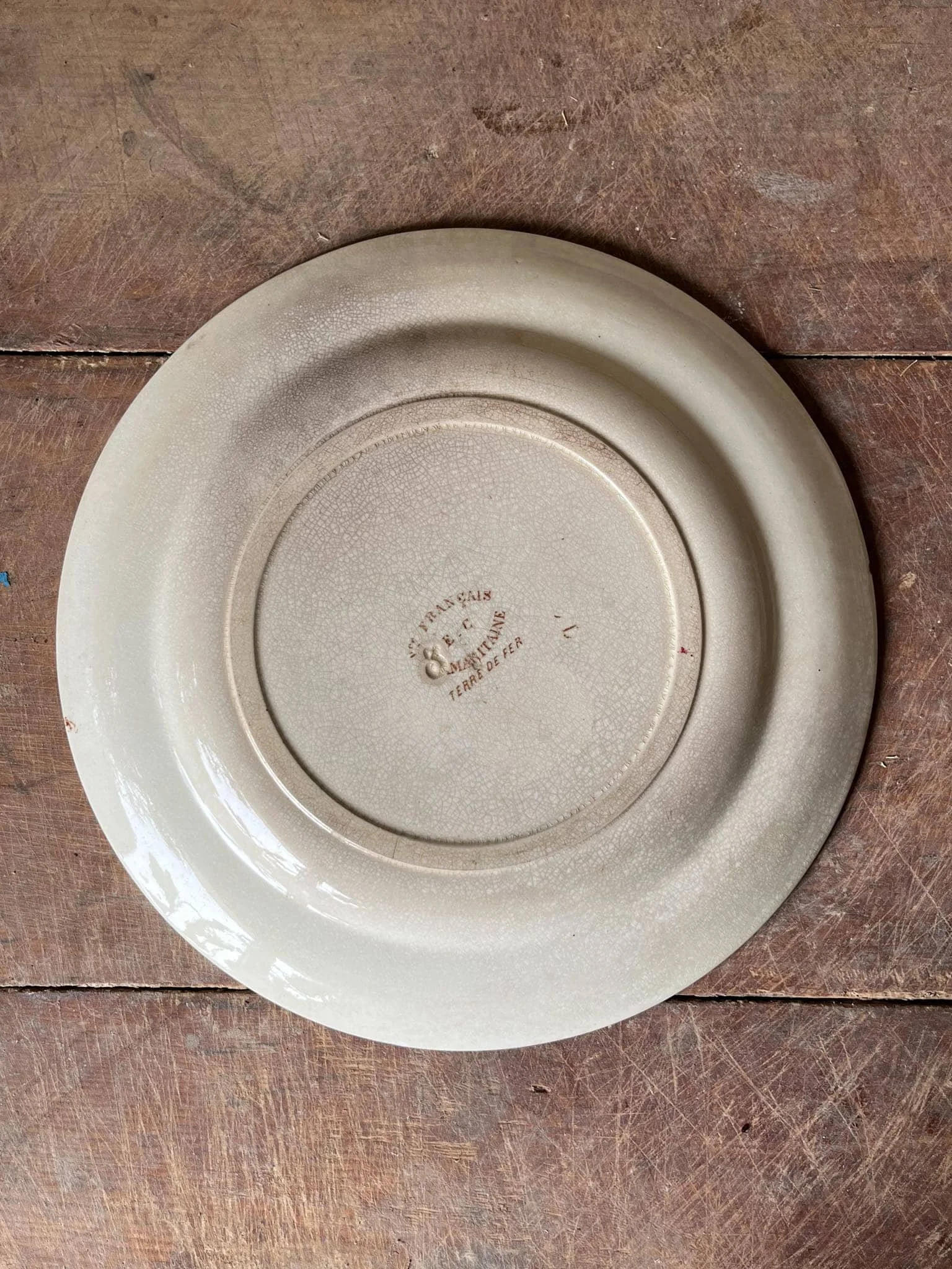 Antique Terre de Fer French Ironstone Plate | Sepia Florals